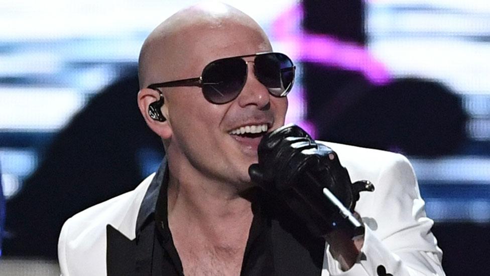 Pitbull