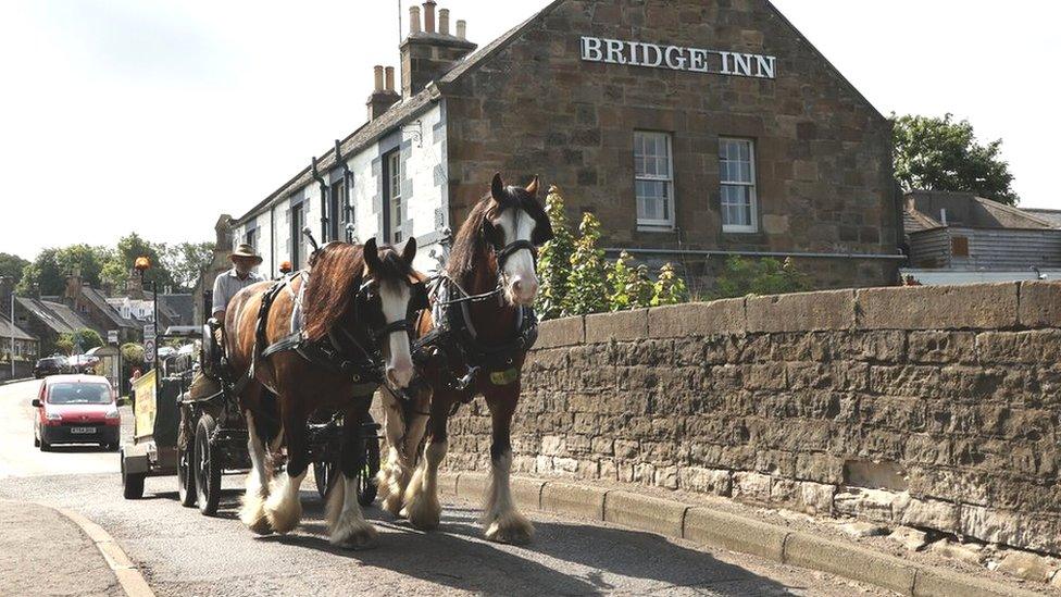 Horses on route