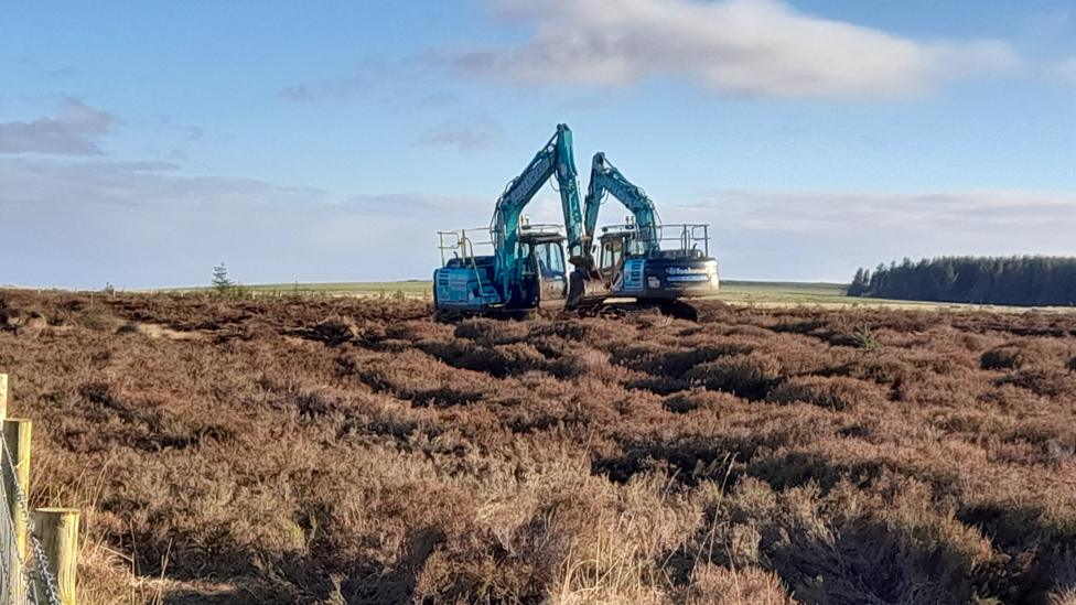 Peat restoration