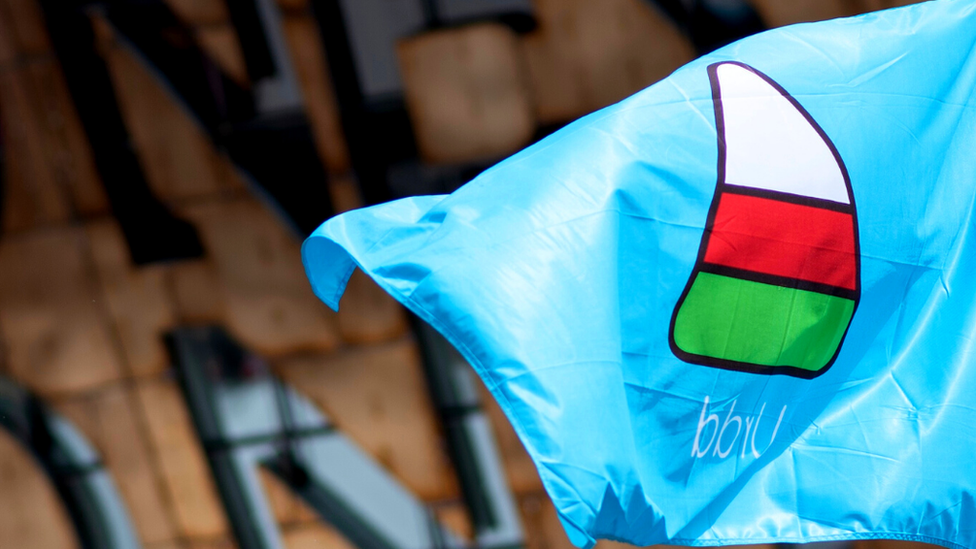 Urdd flag