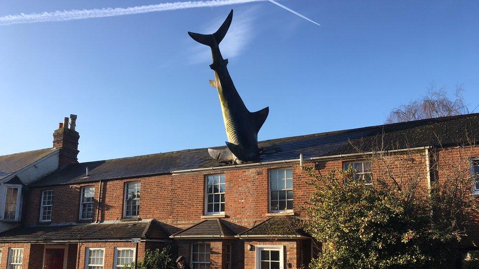 Headington Shark