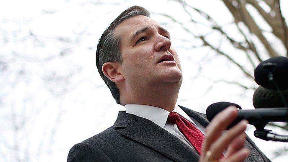 Texas Senator Ted Cruz talks about the Brussels bombing.