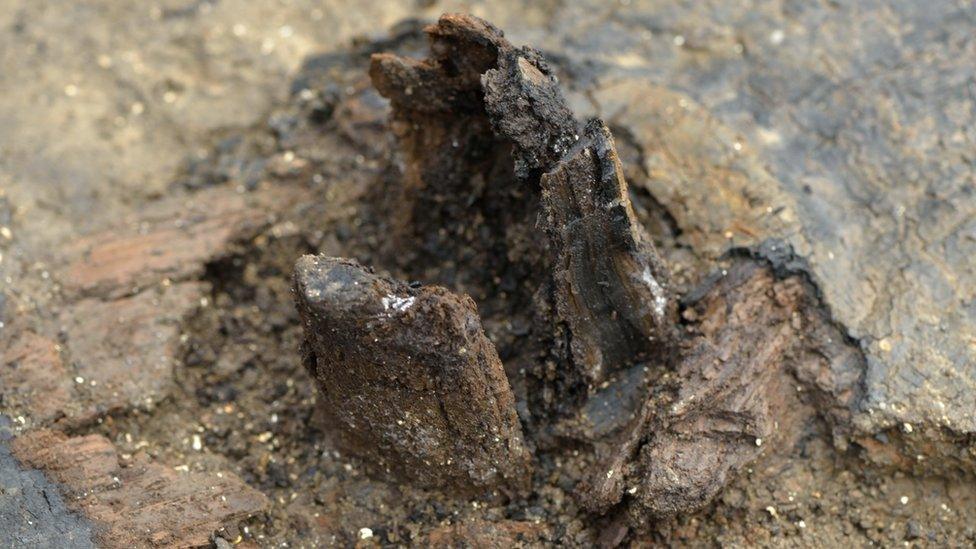 Close-up of hub of a Bronze Age wheel