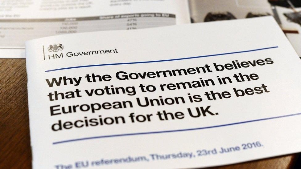 EU leaflet