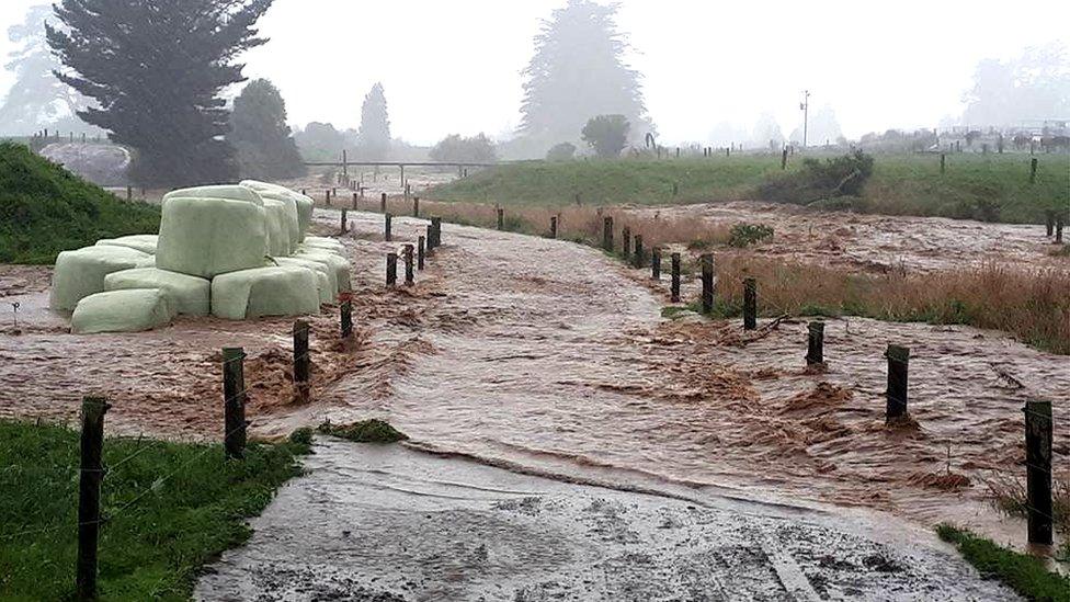 A flooded farm in Bainham, New Zealand, 20 February 2018