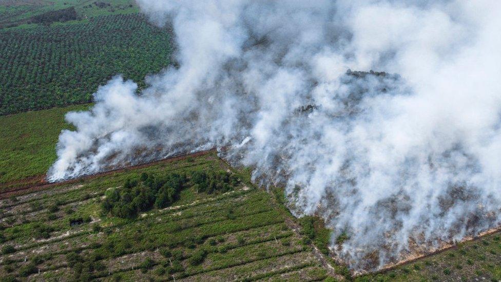 Indonesia fires