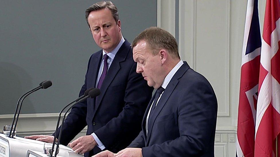 David Cameron and Danish PM Lars Lokke Rasmussen