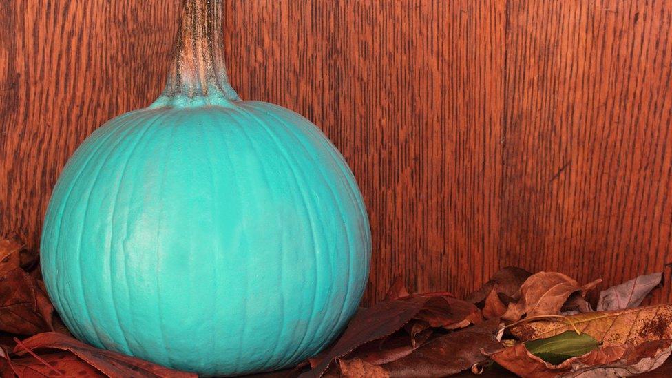 teal-pumpkin.