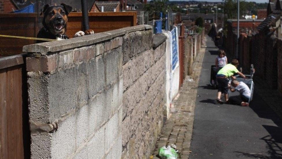 Children playing in a back alley