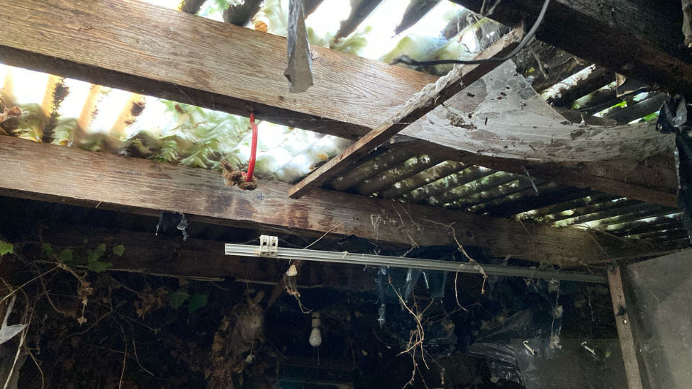 A hole in the roof of the building