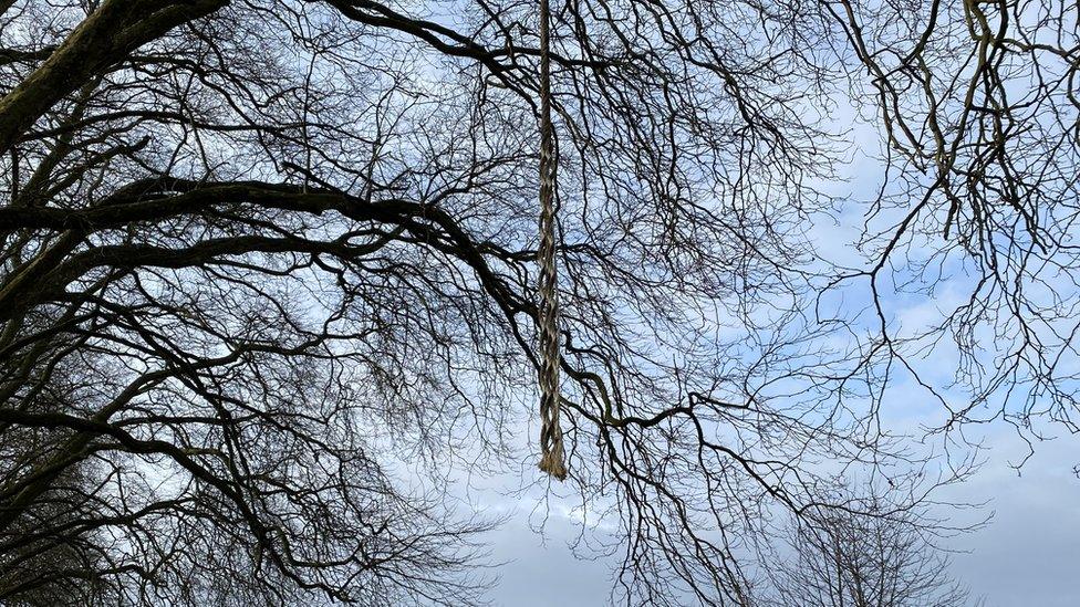 Severed rope swing in Victoria Park in Bristol