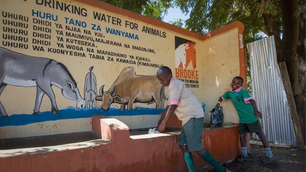 Children at a donkey water trough