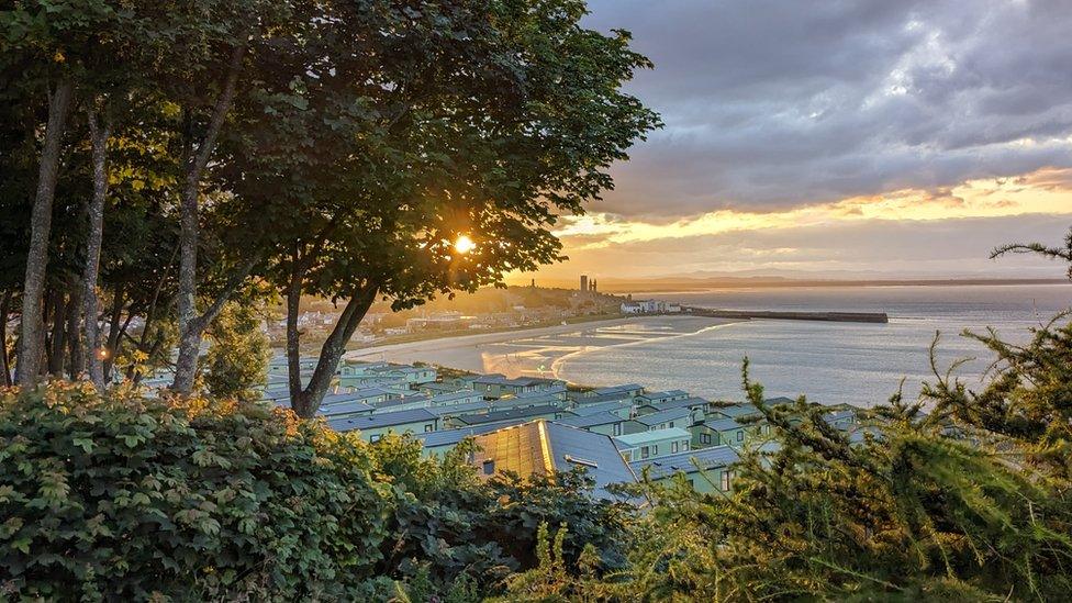 Trees and bushes in the foreground, framing caravans overlooking the beach at St Andrews