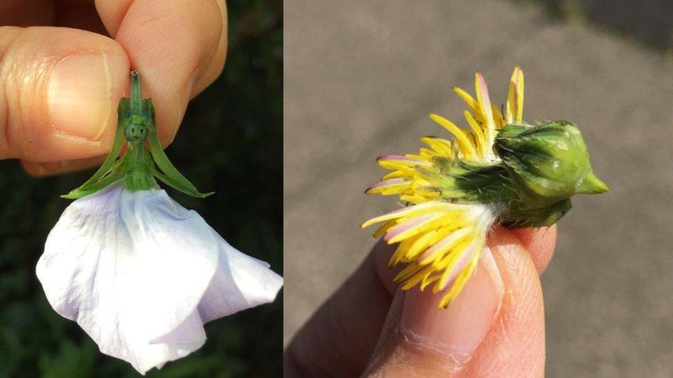 Girl and bird made from flowers