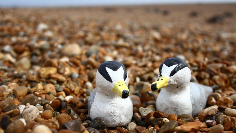 Decoys on the beach