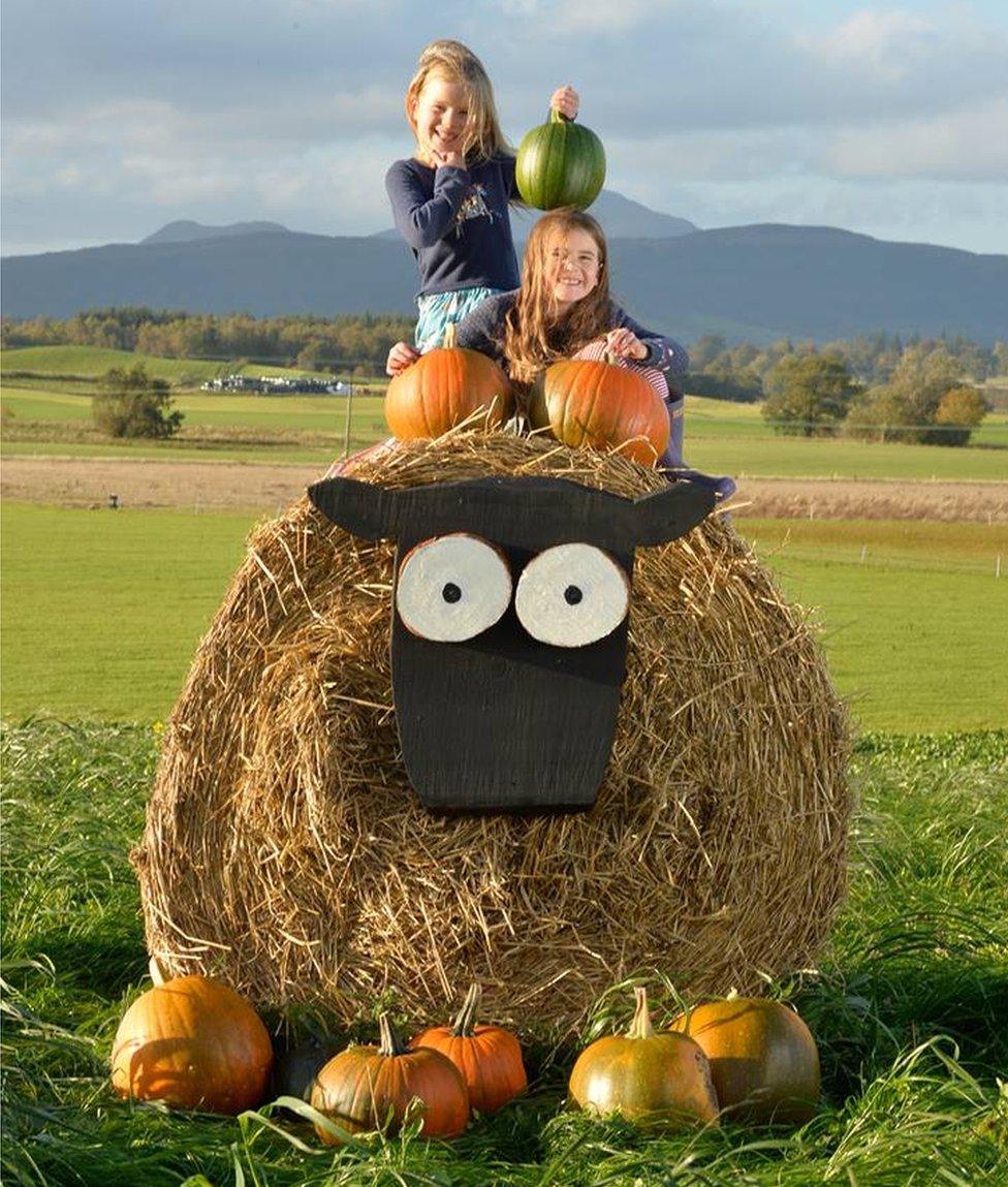 Kids love the pumpkin patch