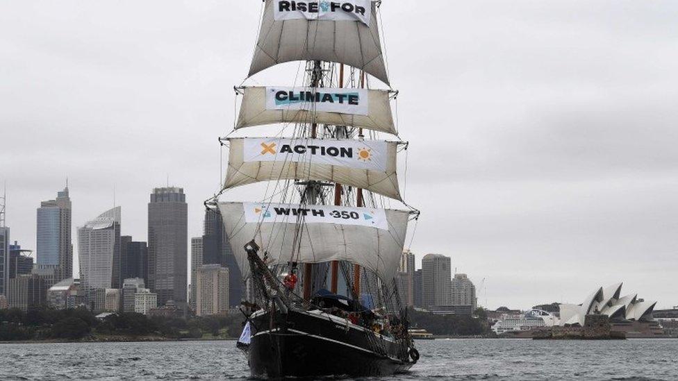 The environmental ship Southern Swan in Sydney Harbour on 8 September 2018.