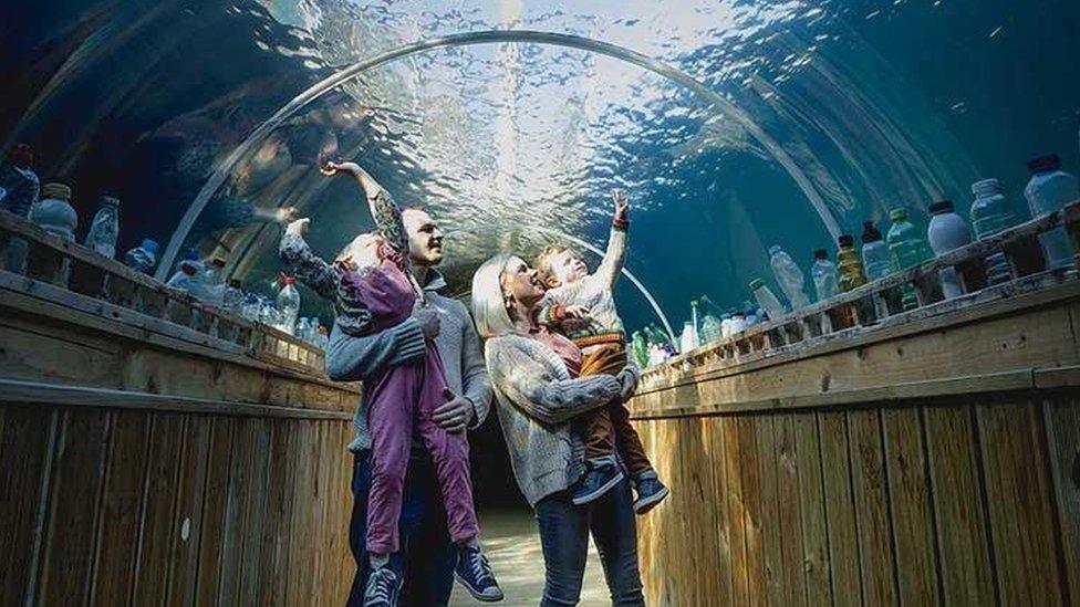 Aquarium.