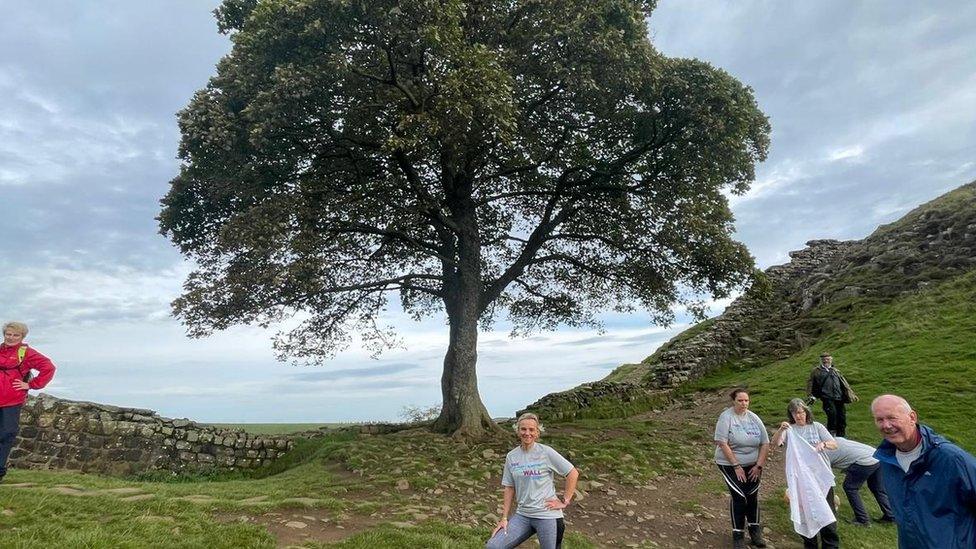 Lynne Russell at the Sycamore Gap