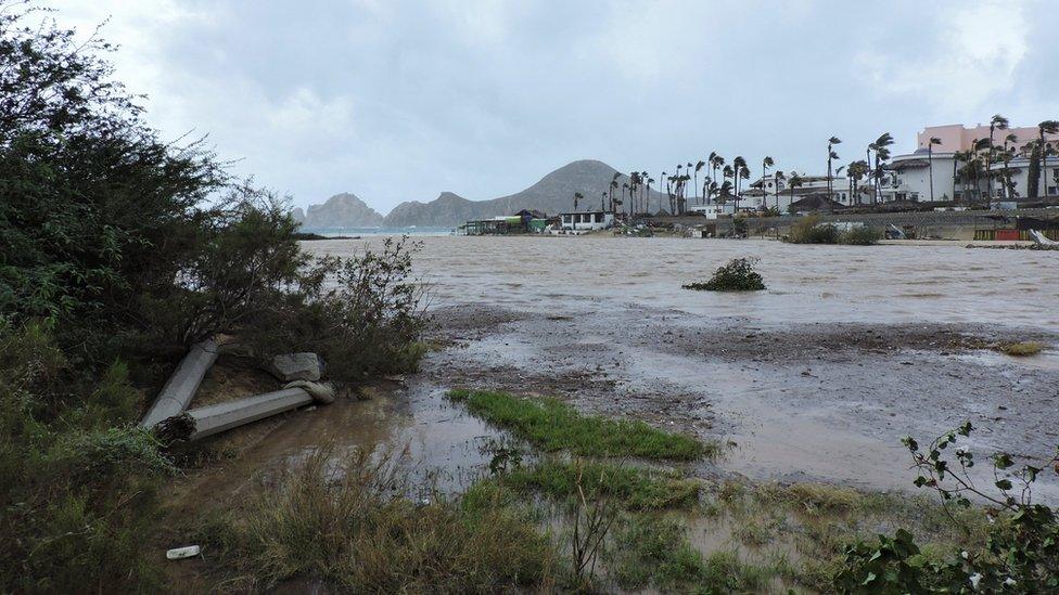 A windswept beach in Mexico's Baja California peninsula