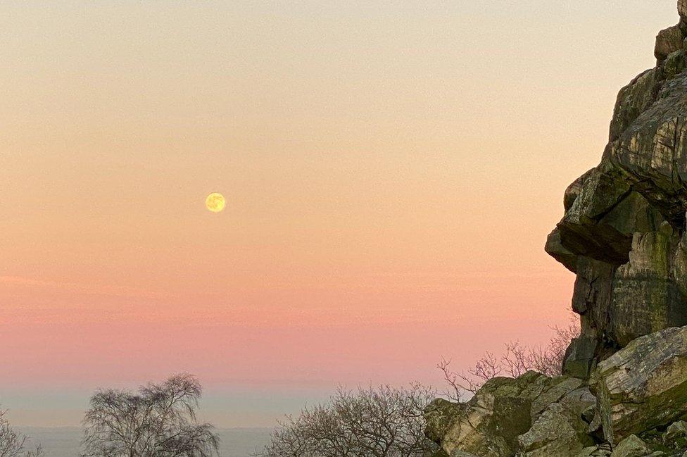 Wolf Moon in Loughborough