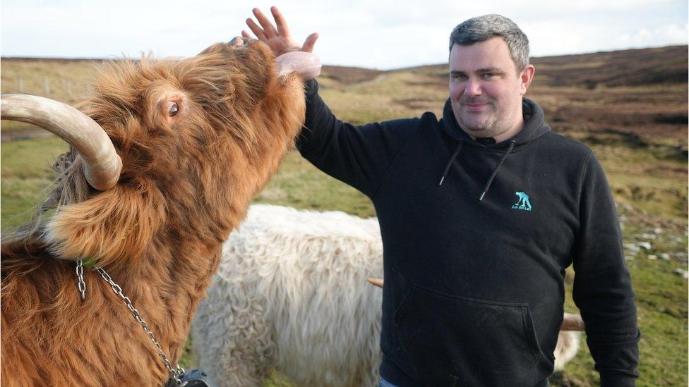 Domhnall Macsween and a cow