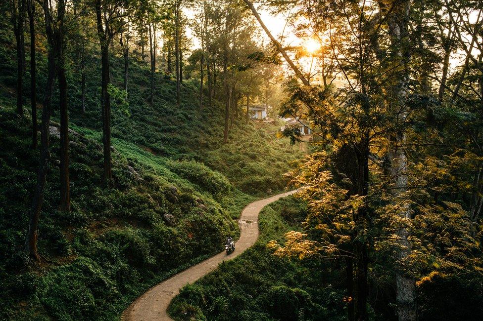 A person travels down a road in a small sunlit valley