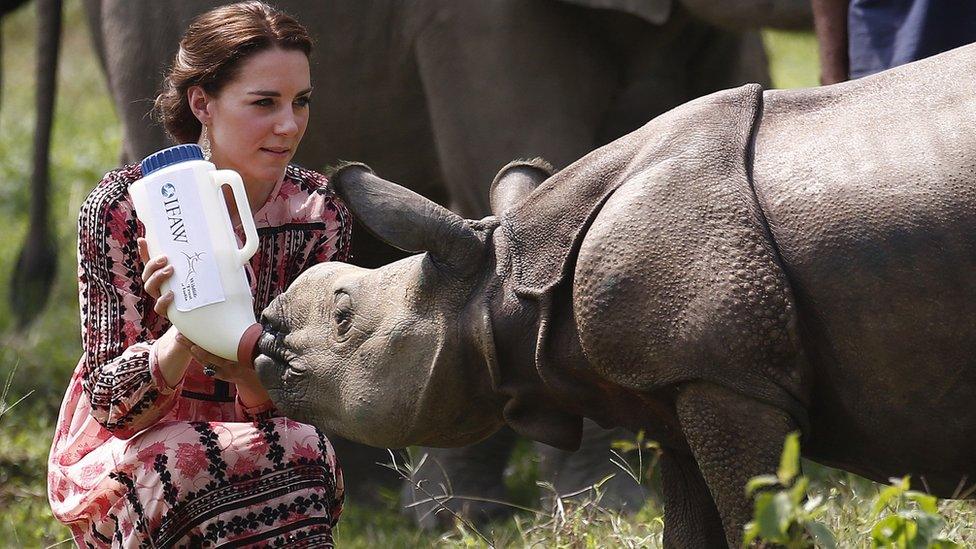 The Duchess of Cambridge feeding baby rhino