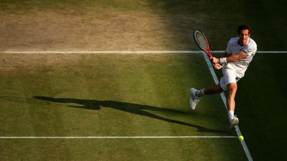 Andrew Murray at Wimbledon