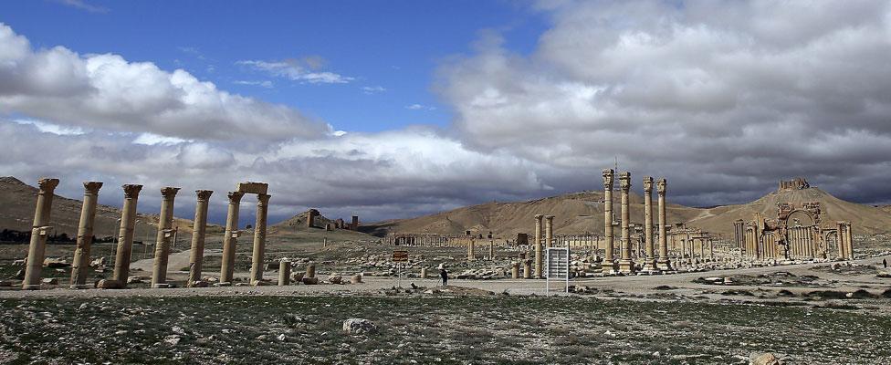 Palmyra