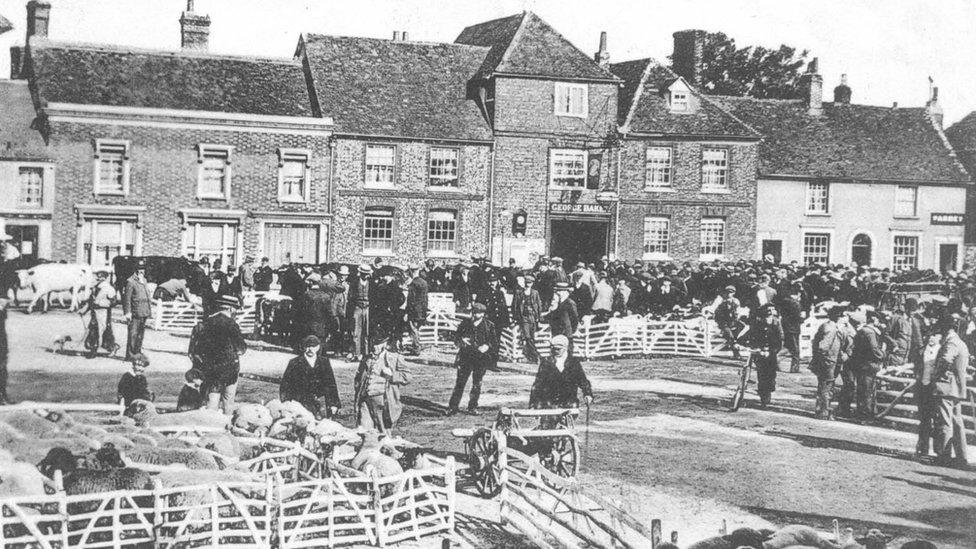 The cattle market in Thame in 1914