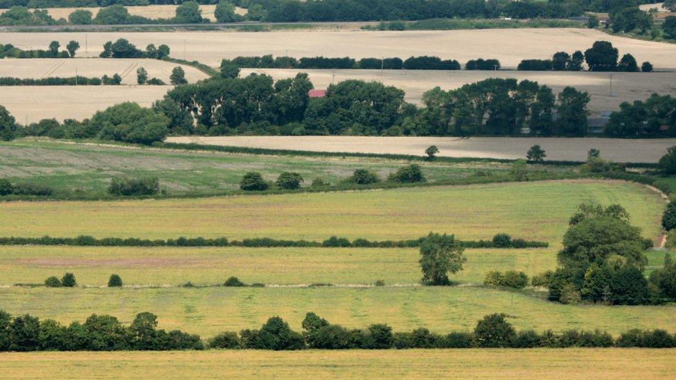 View north from White Horse Hill, near Uffington, Oxfordshire