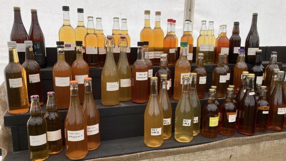 Bottles of cider lined up for judging