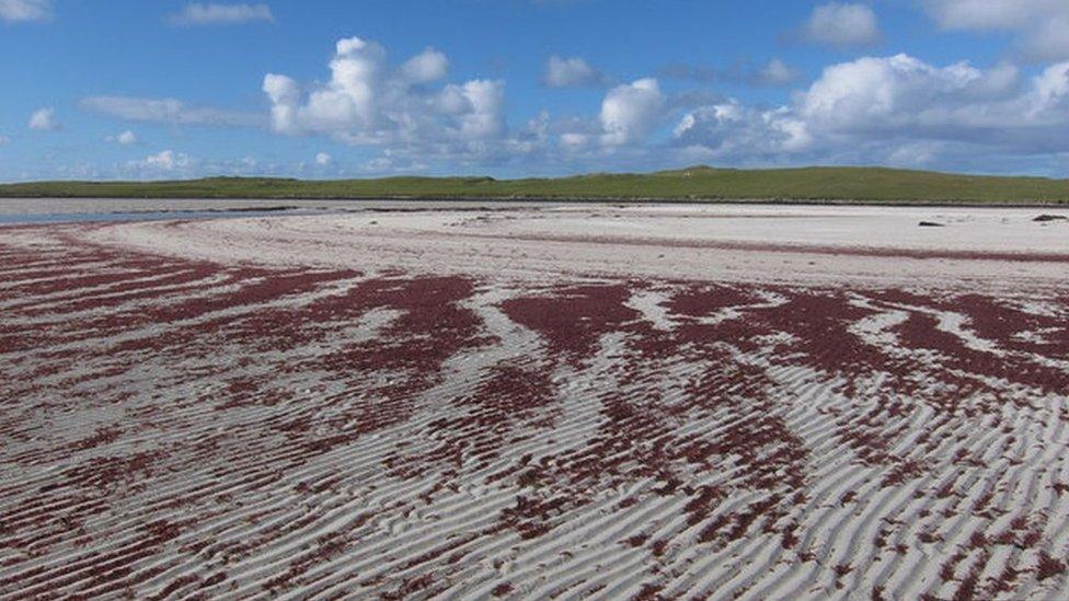 Malacleit, Uibhist a Tuath