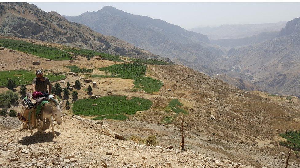 Patches of fertile ground have been cleared from the rocky ground in Dehibolo village