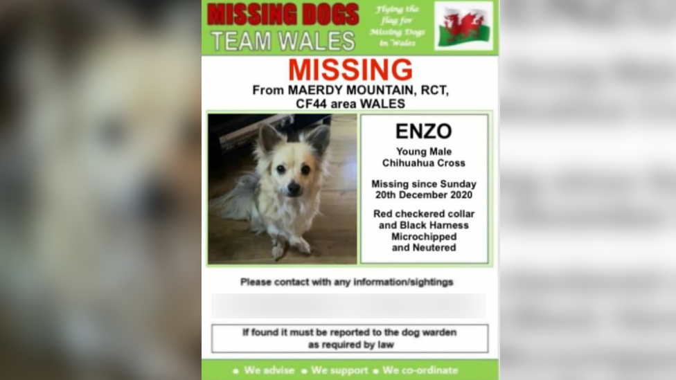 Missing poster for Enzo