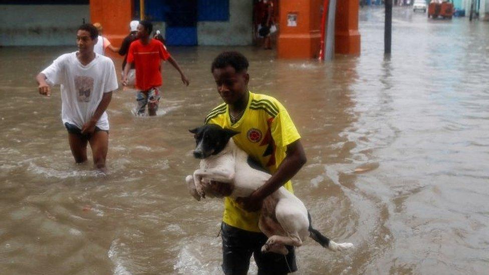 Man carrying dog in flooded Havana street