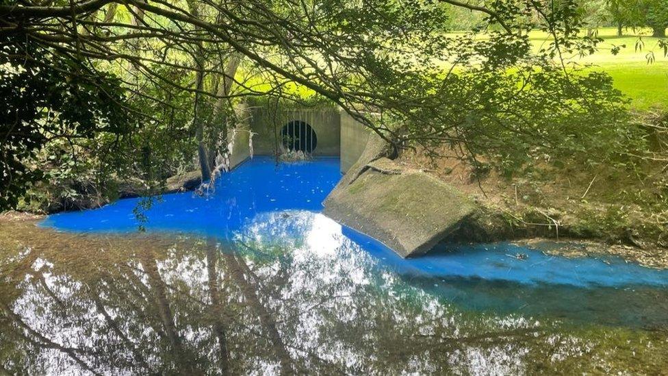 Canon's Brook at Harlow