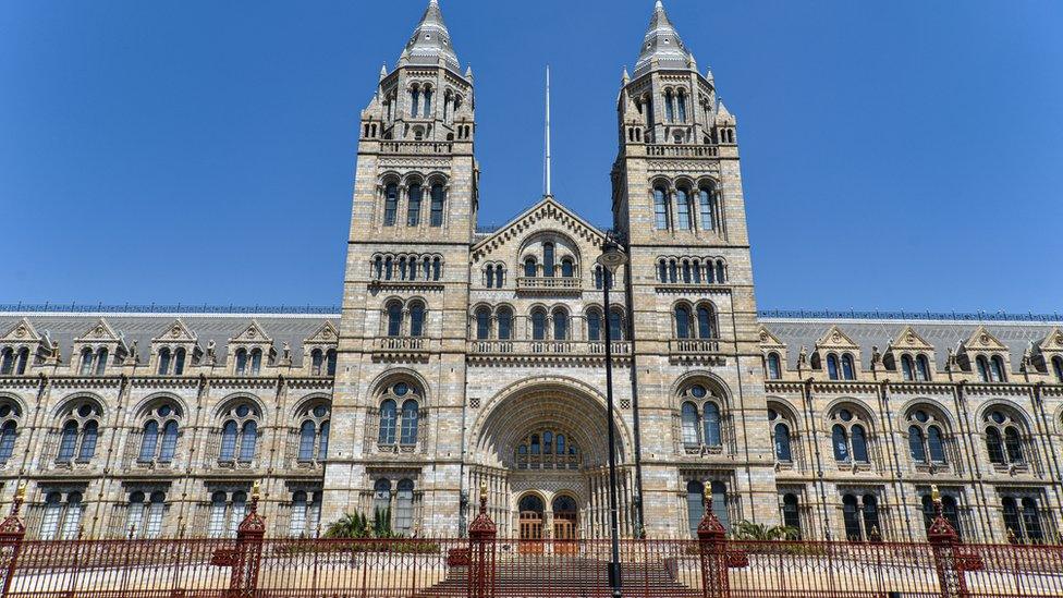 Natural History Museum