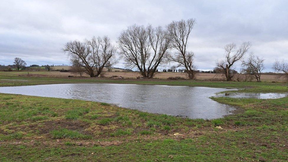 Wilton Wetlands