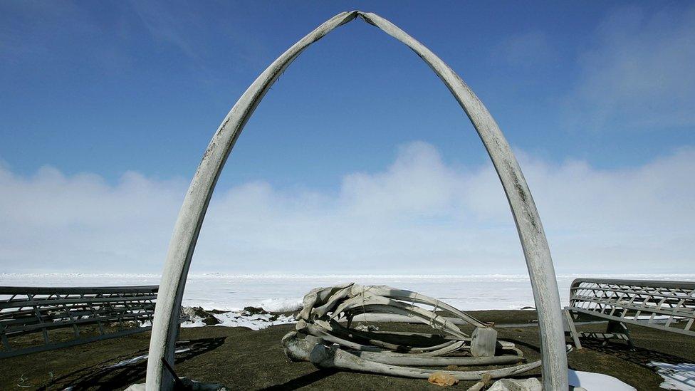 An arch made from bowhead whale bones, looking out over an ice field