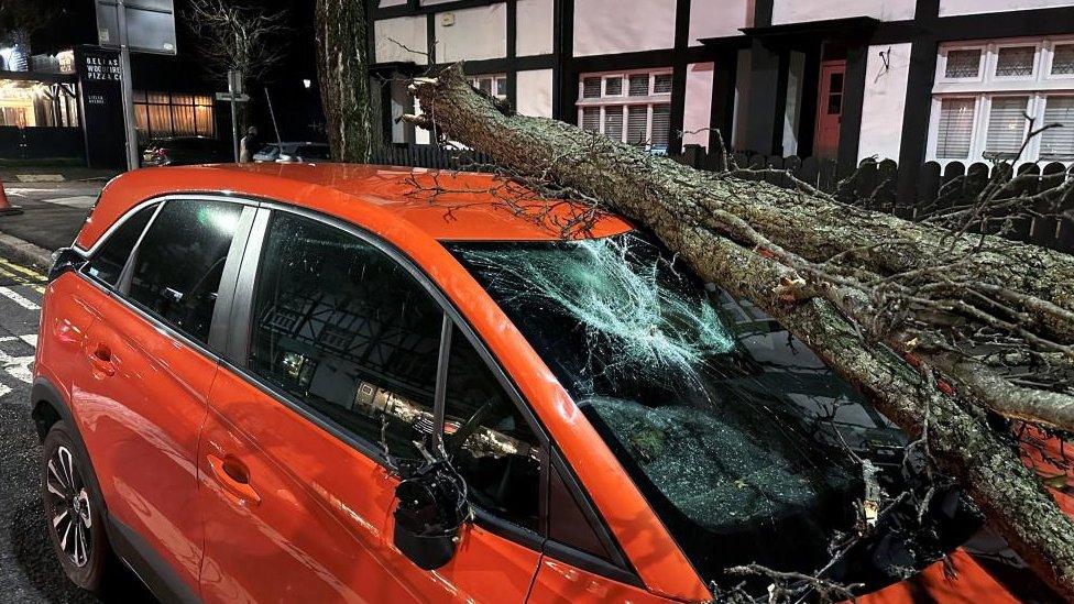 The windscreen of a small red car is smashed underneath the severed trunk of a tree