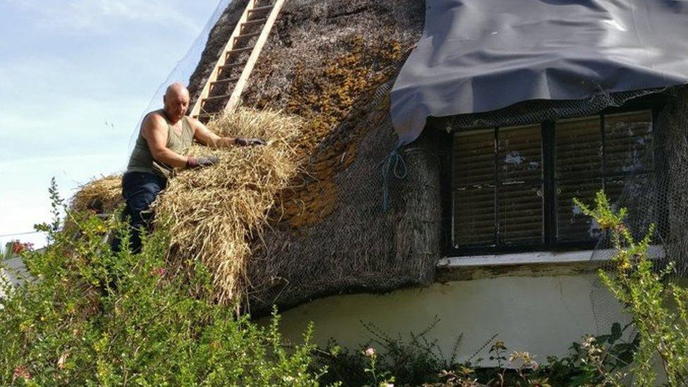 Man in a vest with bundles of straw on a ladder half way up the roof of a thatched cottage.