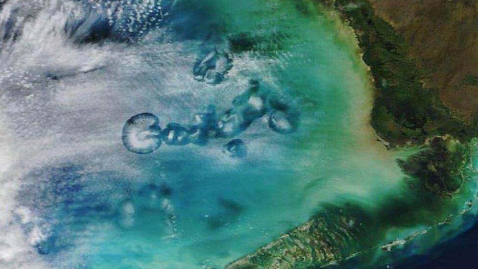 A cluster of cavum clouds over the Gulf of Mexico