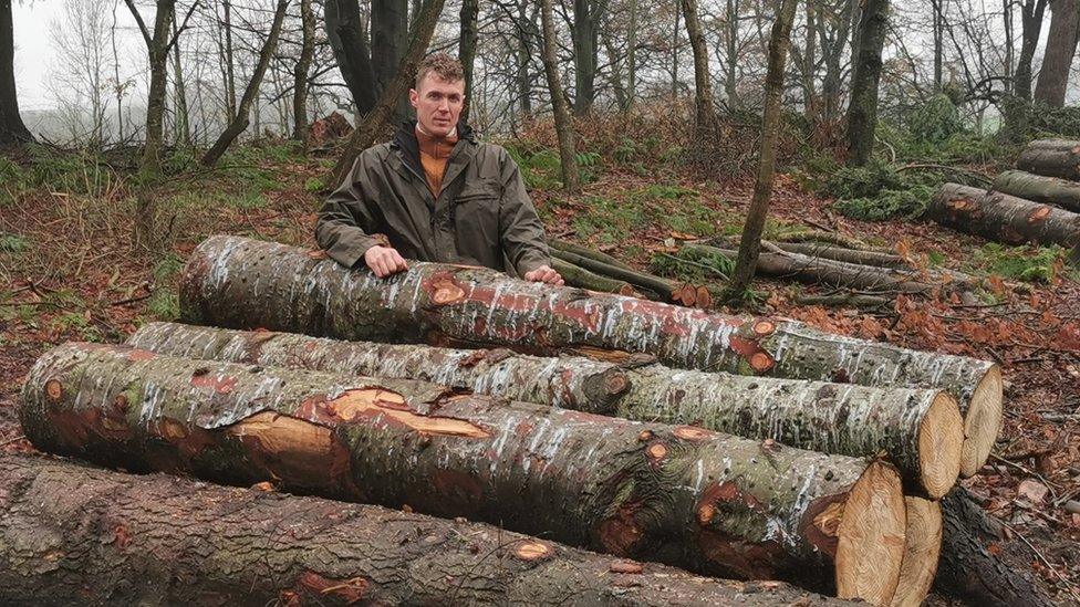 Hendrik van Boeckel with logs