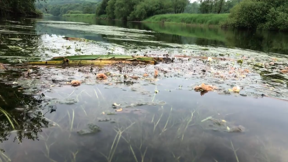 Yr afon Tywi