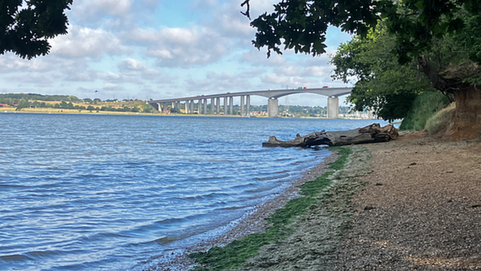 shoreline in Orwell Country Park