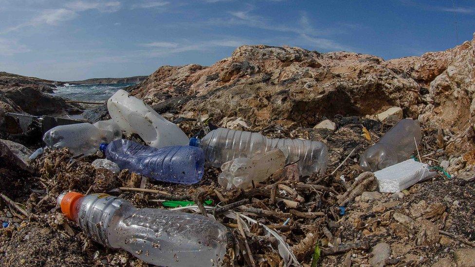 Plastic bottles washed up on a beach