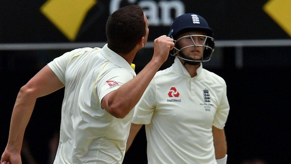 Australia celebrate Joe Root's wicket