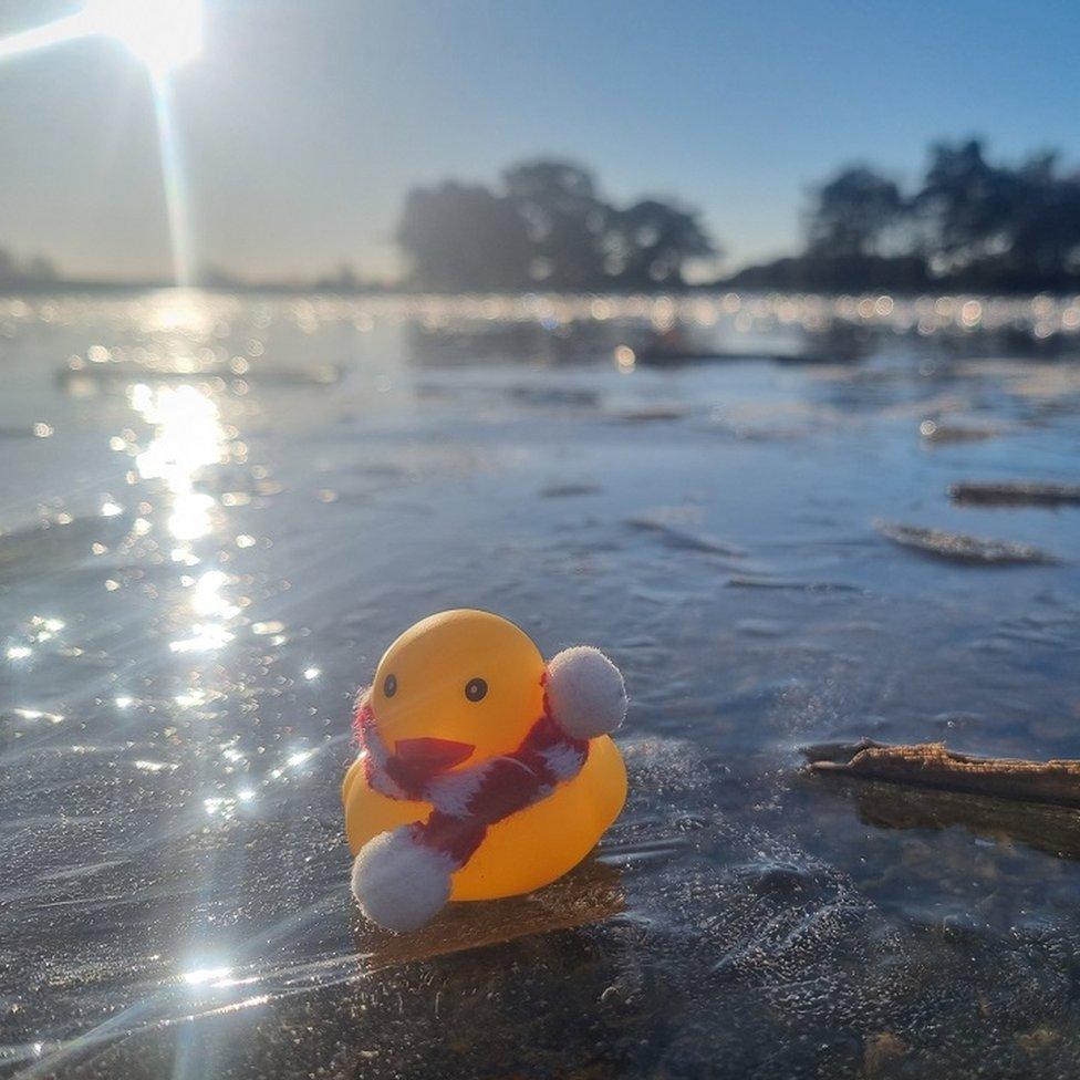 MONDAY - Hatchet Pond